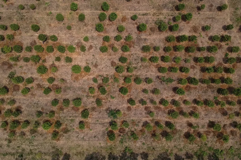 Fenómeno de El Niño se aproxima a Colombia: alerta por reducción de lluvias entre junio y agosto