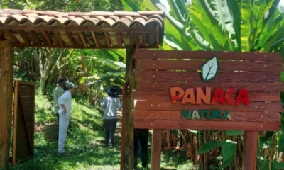 Plan de Manejo Ambiental del proyecto Panaca — Aprueban Plan de Manejo Ambiental del proyecto Panaca en Quindío: detalles de la