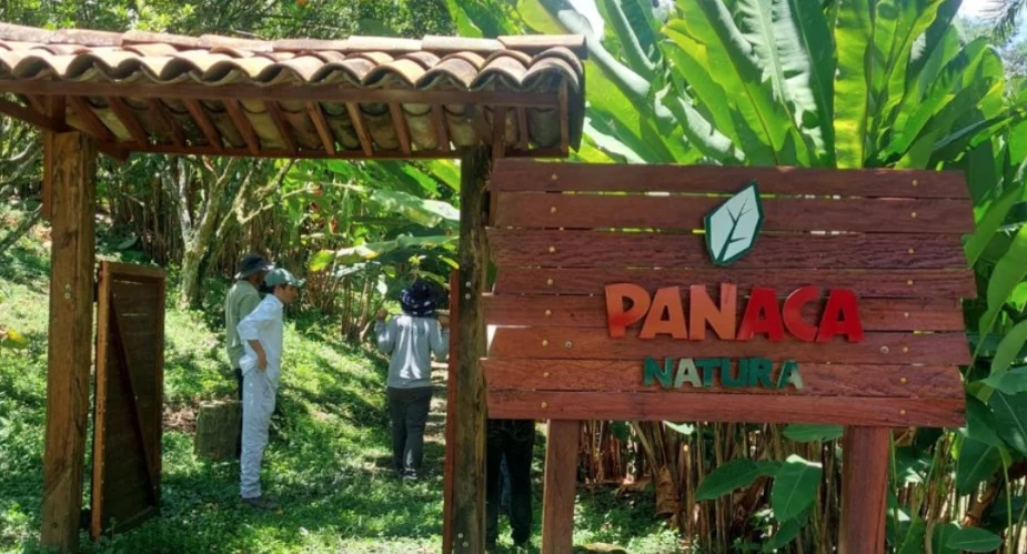 Plan de Manejo Ambiental del proyecto Panaca — Aprueban Plan de Manejo Ambiental del proyecto Panaca en Quindío: detalles de la