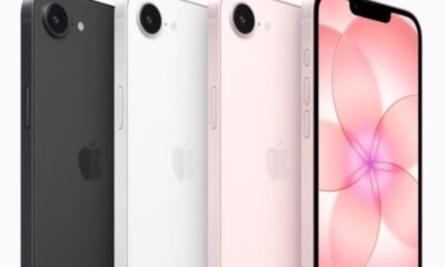 todo lo que debes saber y su precio en México