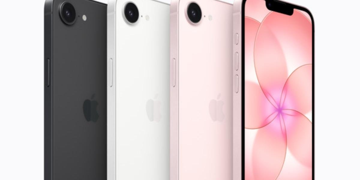 todo lo que debes saber y su precio en México