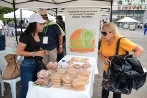 Panela Risaralda — Panela Risaralda: Pereira sede del Panela Fest 2026 y su proyección exportadora