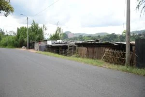 Asentamientos informales Pereira — Invasión de tierras: Crecimiento de Asentamientos Informales en Pereira