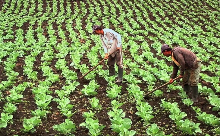 precios de fertilizantes importados — Precios de fertilizantes suben 28% y amenazan inflación en Colombia