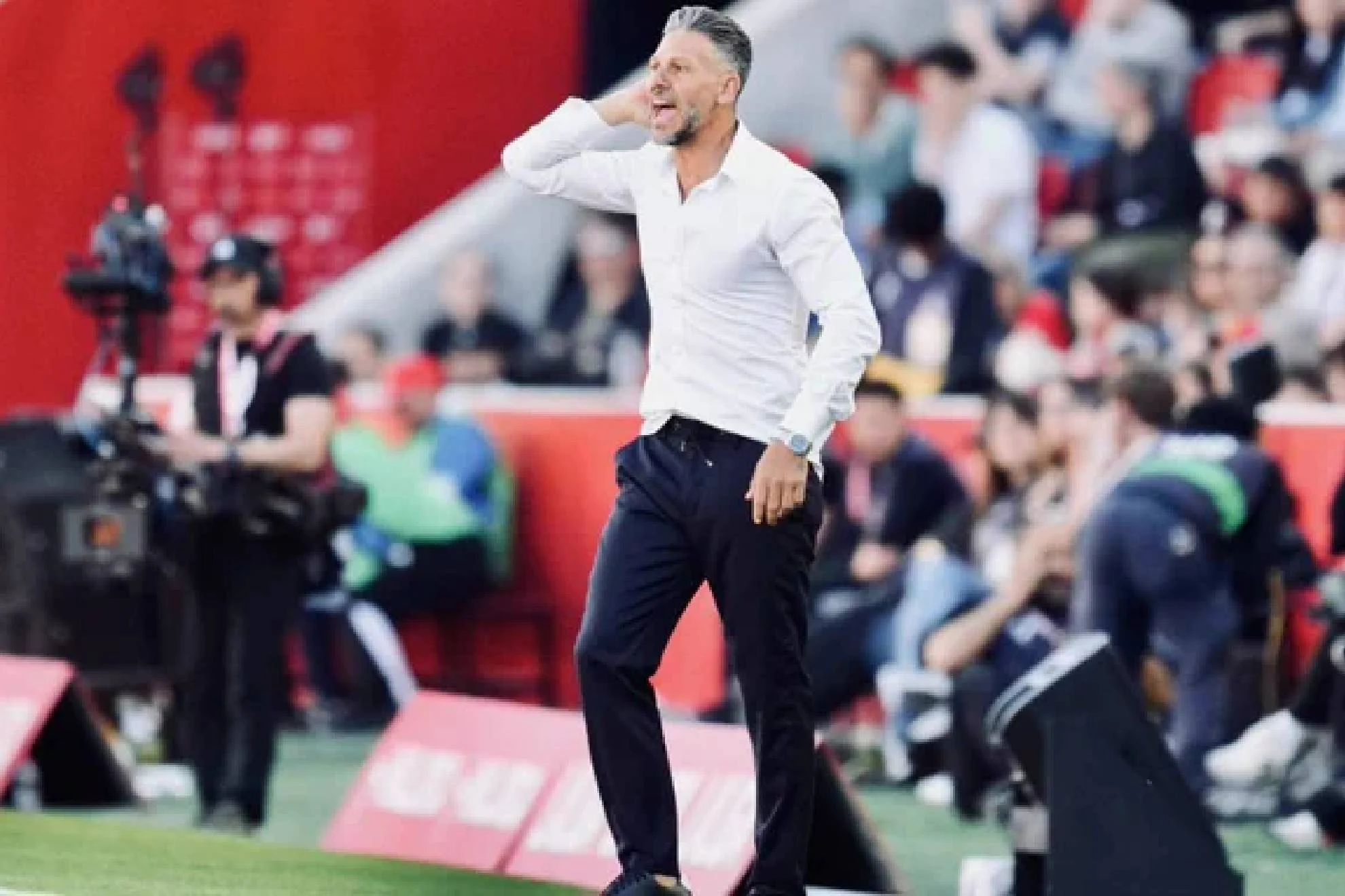 Problemas centrales Mallorca — Demichelis evalúa opciones ante los problemas centrales de Mallorca