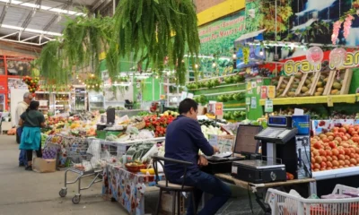 apoyo productores Cundinamarca — Apoyo Productores Cundinamarca: Inversión de $4.200 Millones en Fortalecimiento