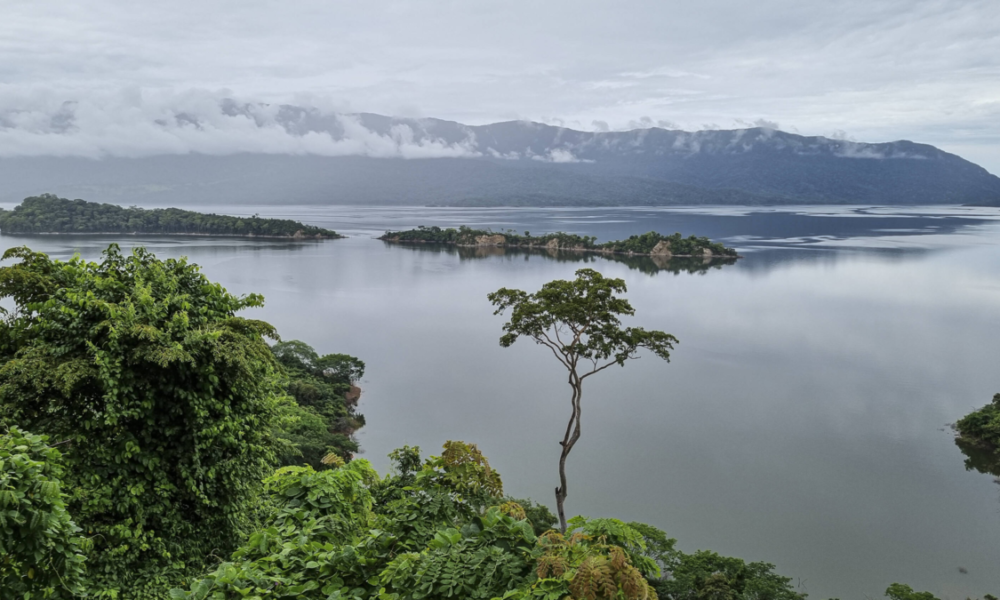 embalse de Topocoro — Familia atrapada en embalse de Topocoro: 15 horas a la intemperie sin gasolina
