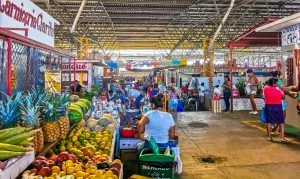 tours gastronómicos en México — Tours Gastronómicos en México: Una Inmersión Cultural y Culinaria