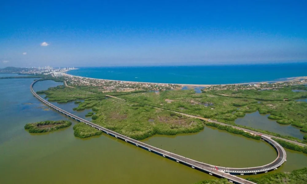 Tutela manglares Cartagena — Tutela por manglares en Cartagena reabre debate ambiental