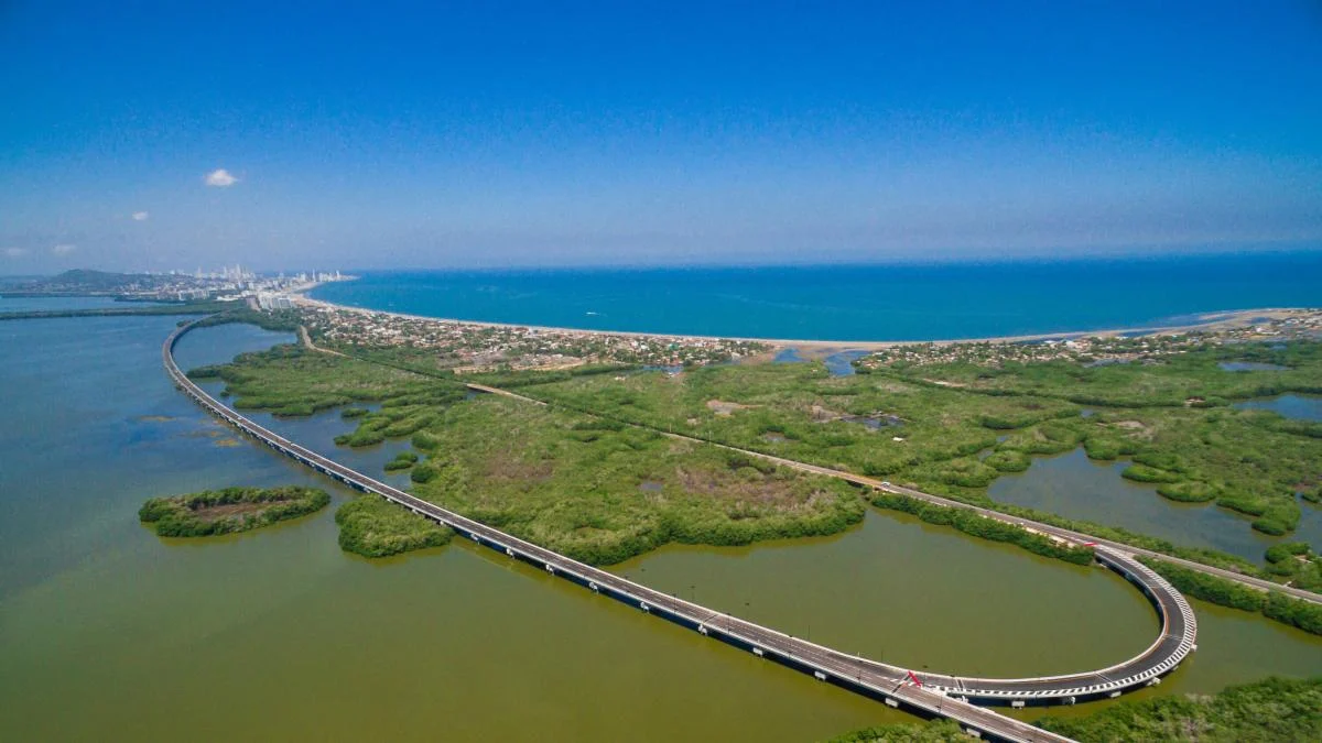 Tutela manglares Cartagena — Tutela por manglares en Cartagena reabre debate ambiental