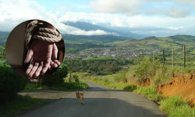 asesinato jóvenes Jamundí — Hallan Asesinados a Jóvenes Secuestrados por Disidentes en Jamundí