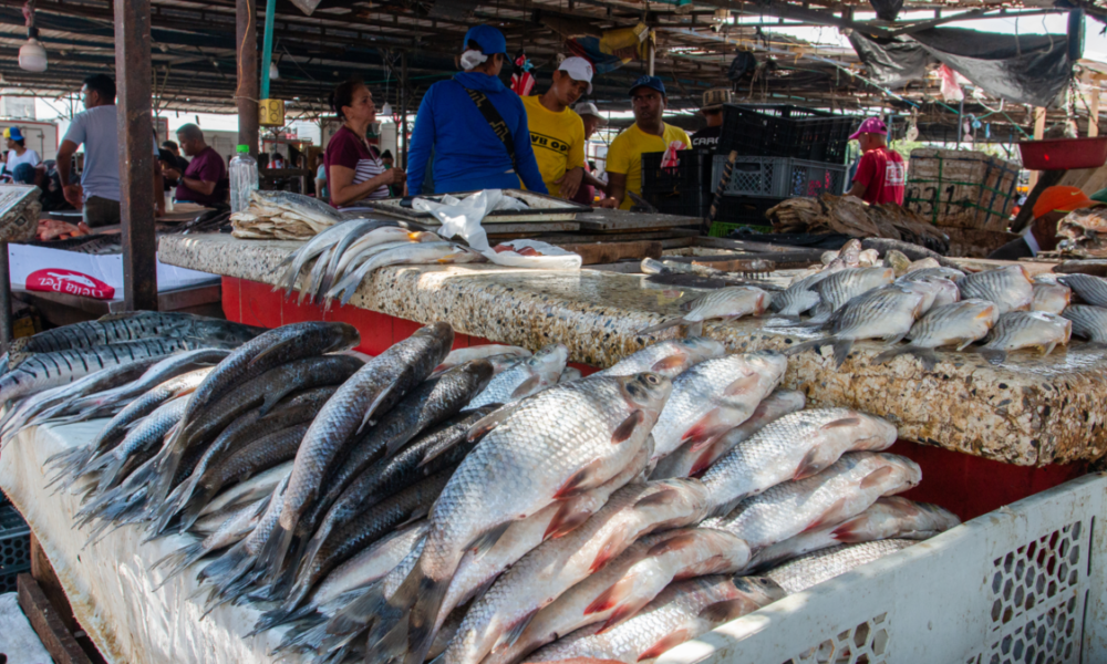 renovación Plaza del Pescado — Renovación Plaza del Pescado en Barranquilla: inicio después de Semana Santa con