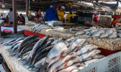 renovación Plaza del Pescado — Renovación Plaza del Pescado en Barranquilla: inicio después de Semana Santa con