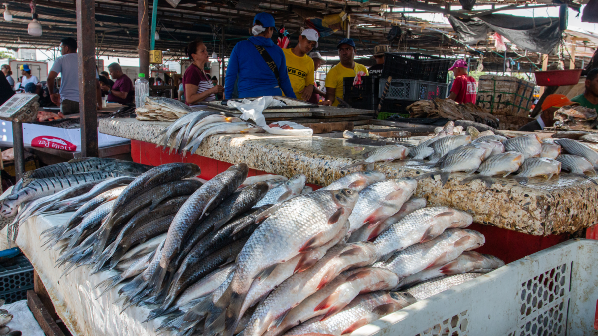 renovación Plaza del Pescado — Renovación Plaza del Pescado en Barranquilla: inicio después de Semana Santa con