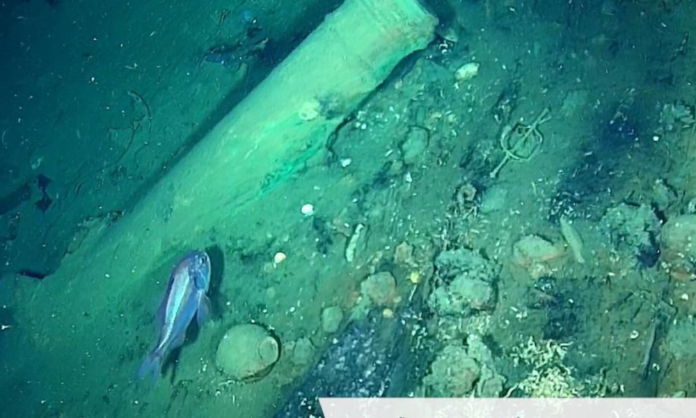 Galeón San José Thompson — Galeón San José: Libertad de Thomas Thompson impacta defensa de Colombia