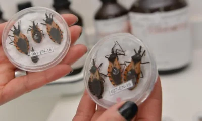 Enfermedad de Chagas Santander — Alerta en Santander por 54 Casos de Enfermedad de Chagas en 2026
