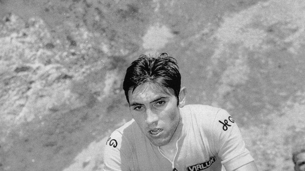 salud Eddy Merckx — Salud Eddy Merckx: Leyenda del ciclismo hospitalizado por infección en cadera