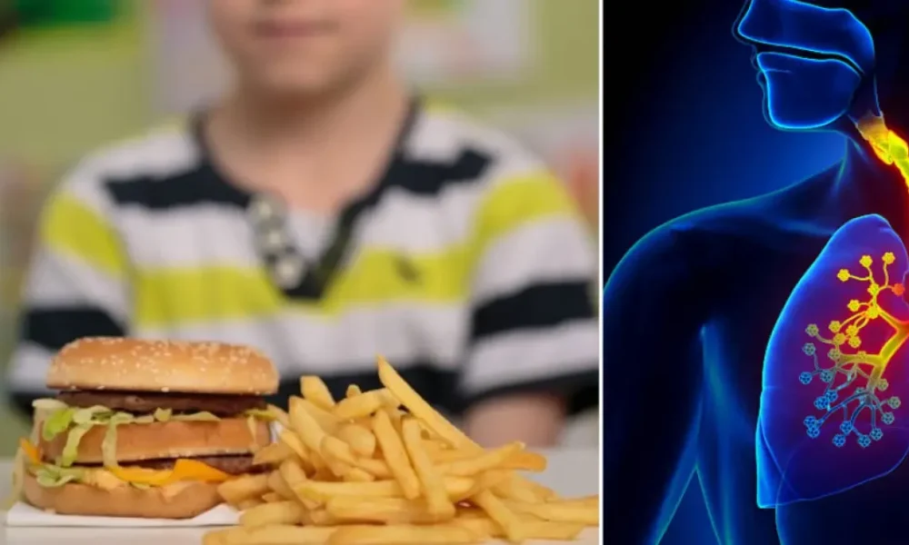 uso datos menores — Uso Datos Menores: Denuncia contra Kellogg, Meta y TikTok por Publicidad Digital