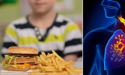 uso datos menores — Uso Datos Menores: Denuncia contra Kellogg, Meta y TikTok por Publicidad Digital