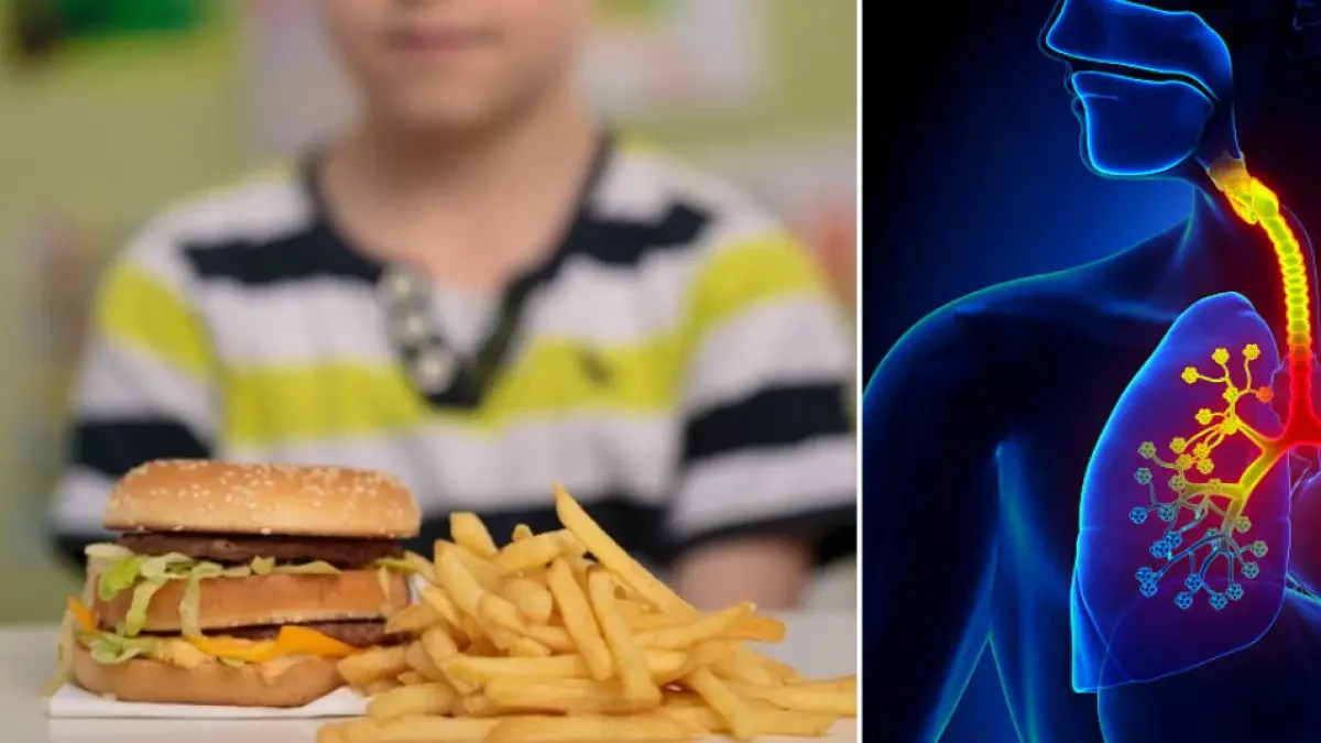 uso datos menores — Uso Datos Menores: Denuncia contra Kellogg, Meta y TikTok por Publicidad Digital