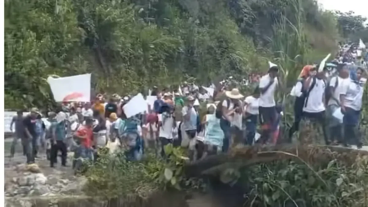 desplazamiento forzado en Nariño — Desplazamiento forzado en Nariño: 200 familias huyen de enfrentamientos armados
