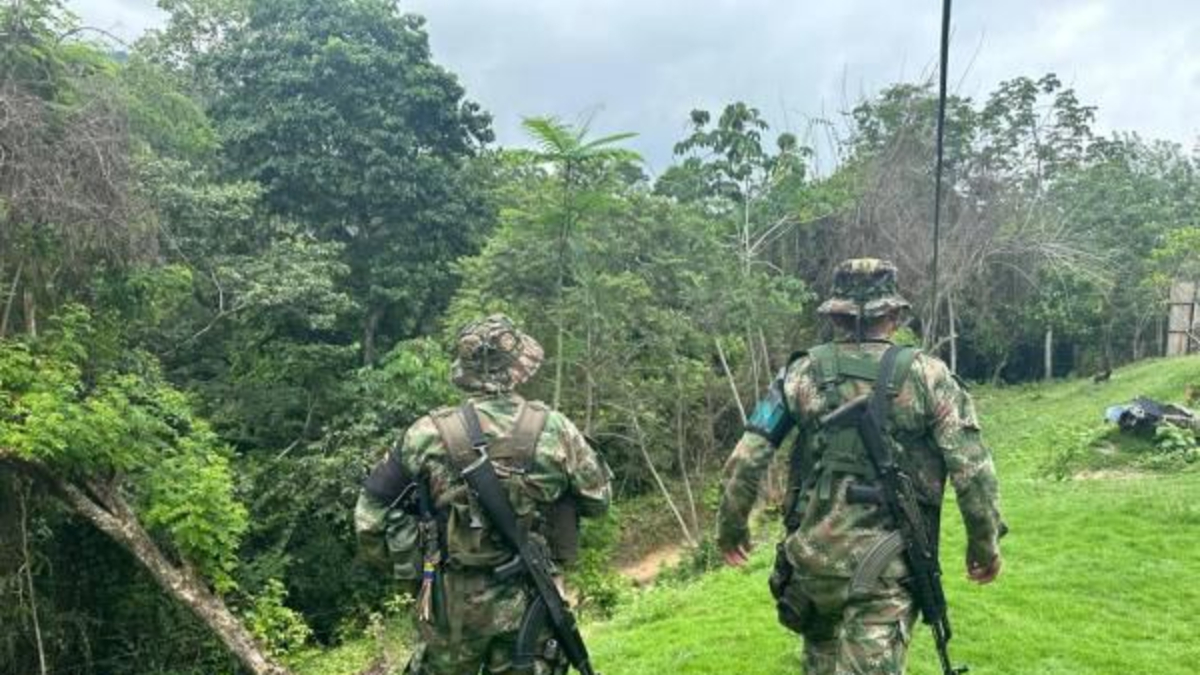 Violencia Sierra Nevada — Reconfiguración de la Violencia en Sierra Nevada: 281 Muertes en Primer Trimestr