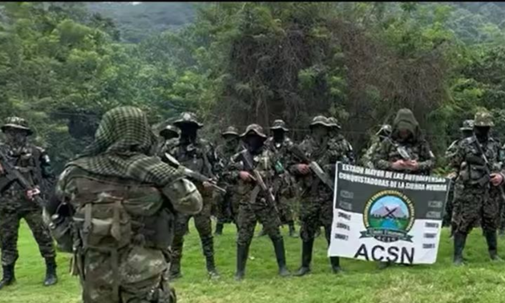 fracaso diálogo Magdalena — Fracaso diálogo Magdalena: Grupos ilegales fortalecidos según Alta Consejera