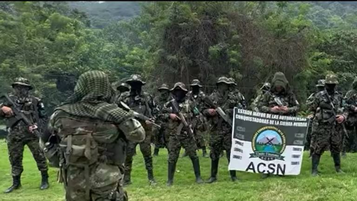 fracaso diálogo Magdalena — Fracaso diálogo Magdalena: Grupos ilegales fortalecidos según Alta Consejera