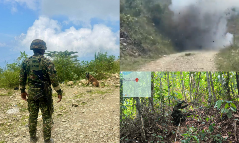 violencia en Antioquia — Violencia en Antioquia aumenta: homicidios se duplican en el norte del departame