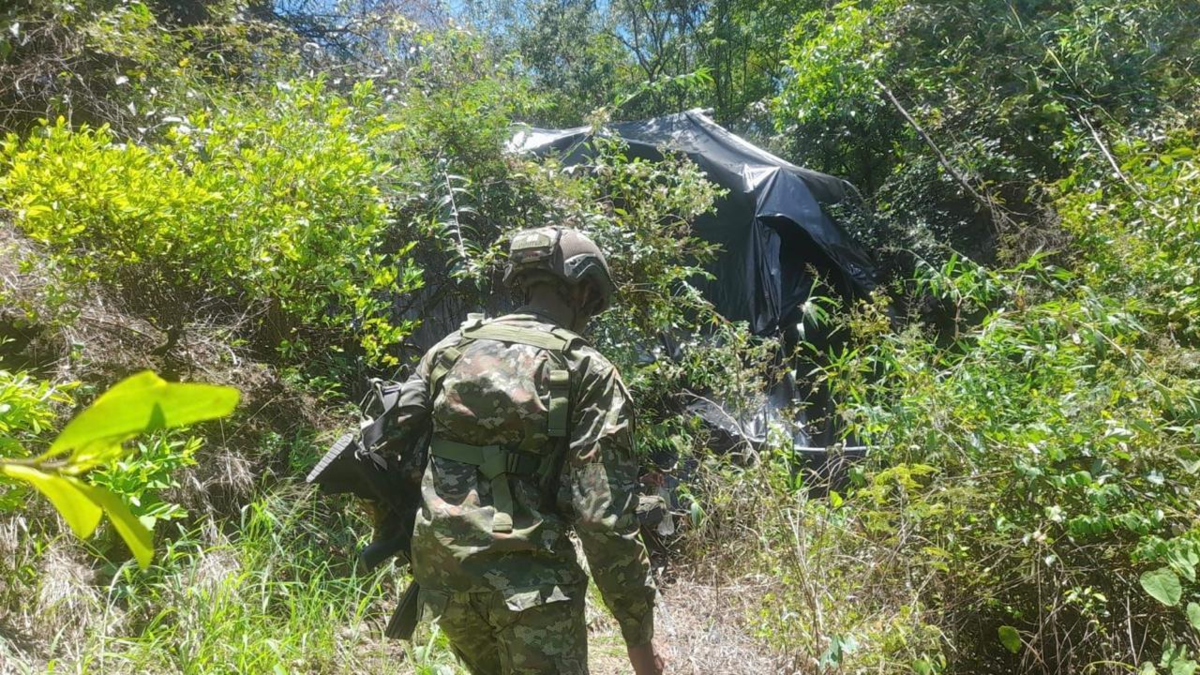 Hostigamientos Cauca — Tensión persistente: Hostigamientos en Rosas e Inzá afectan al Cauca