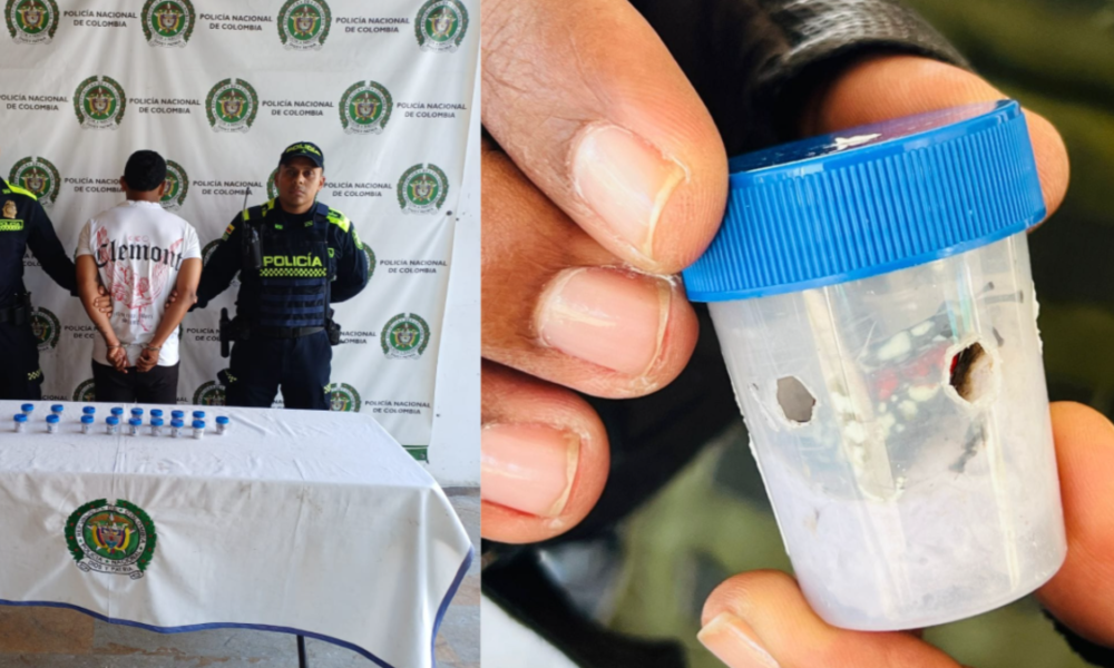 tráfico ilegal de ranas — Capturan motociclista en Valle del Cauca con 17 ranas en peligro de extinción