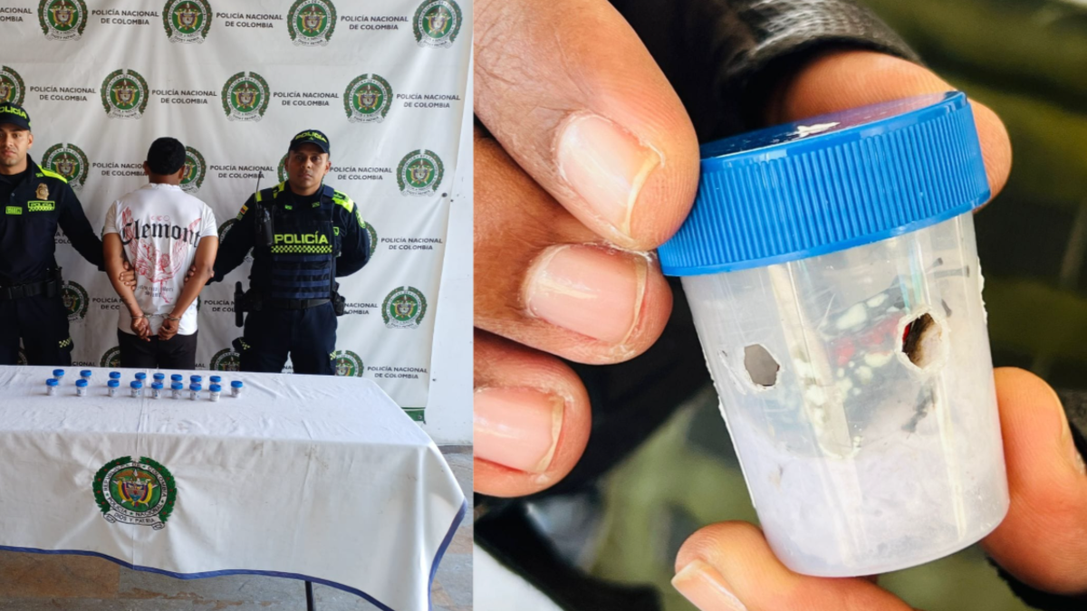 tráfico ilegal de ranas — Capturan motociclista en Valle del Cauca con 17 ranas en peligro de extinción