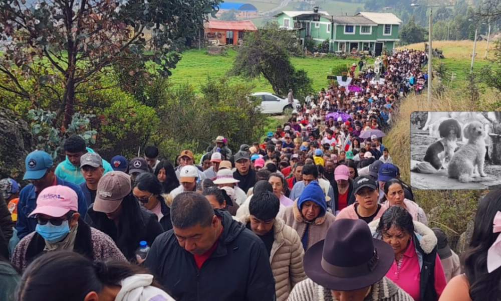 tragedia del peaje Casablanca — Tragedia en peaje Casablanca: cómo la familia sufrió la devastadora noticia