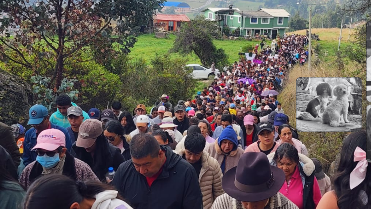 tragedia del peaje Casablanca — Tragedia en peaje Casablanca: cómo la familia sufrió la devastadora noticia