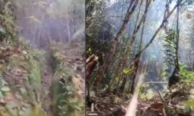 Ejército desactiva explosivos — Ejército desactiva ocho explosivos del Eln en Anorí, Antioquia