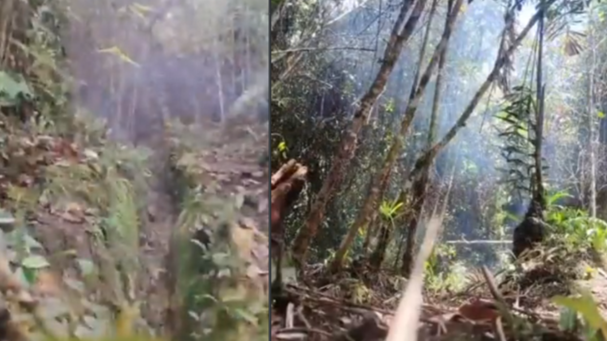 Ejército desactiva explosivos — Ejército desactiva ocho explosivos del Eln en Anorí, Antioquia