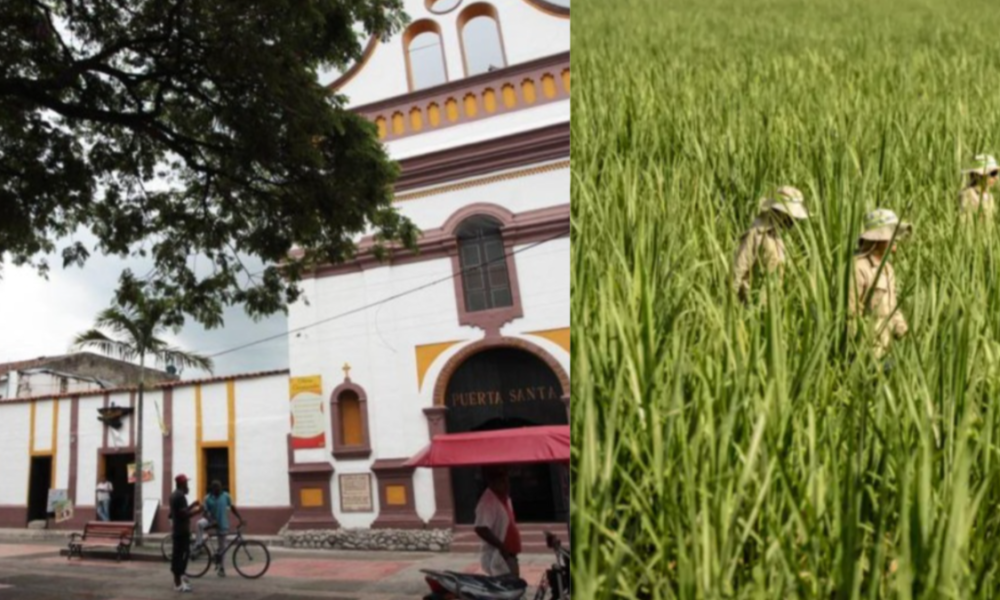 cierre del ingenio María Luisa — Cierre del ingenio María Luisa deja 700 familias sin empleo en Valle y Cauca