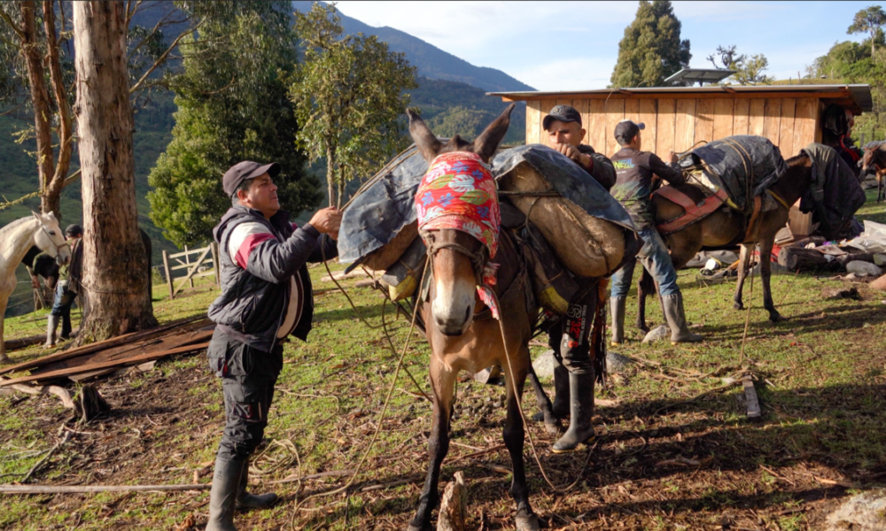 construcción carretera Uribe — Campesinos del Meta Impulsan Construcción Carretera Uribe para Acceso y Comercio