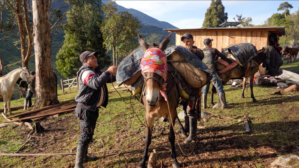 construcción carretera Uribe — Campesinos del Meta Impulsan Construcción Carretera Uribe para Acceso y Comercio