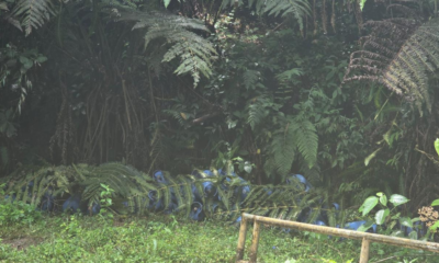 recuperación cilindros Tuluá — Ejército recupera cilindros de gas en Tuluá: neutralizado plan de disidencias