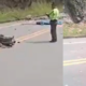 Accidente caída rocas Caldas — Accidente caída rocas Caldas: Motociclista fallece en vía La Pintada–Supía