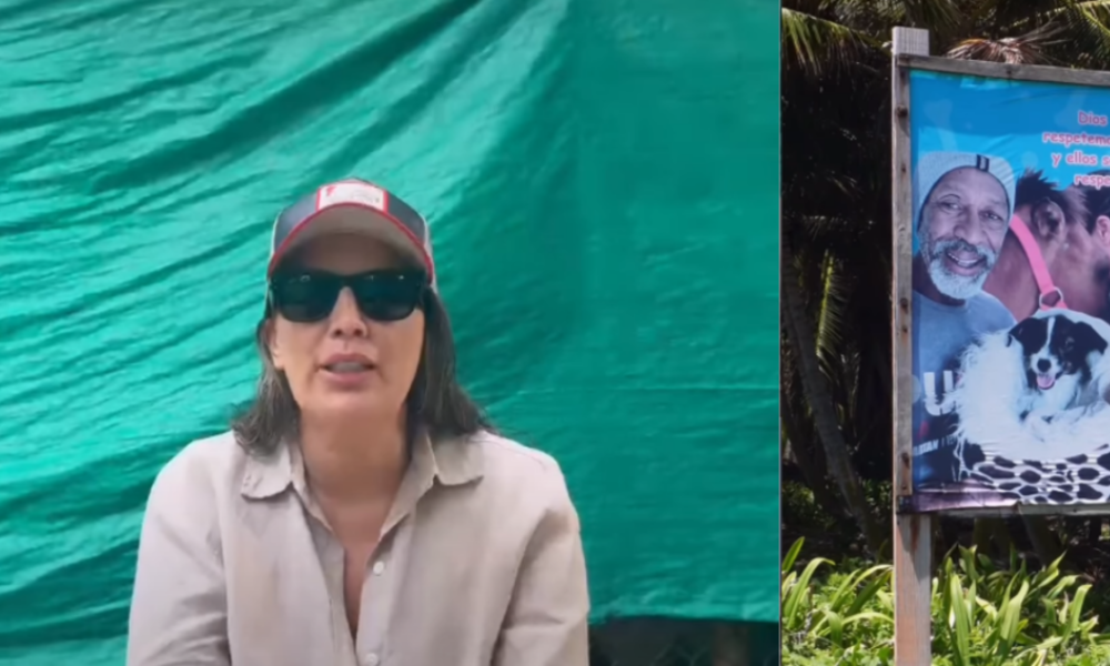 Amenazas Refugio Canino — Refugio Canino Kellan en San Andrés Denuncia Grave Situación de Seguridad