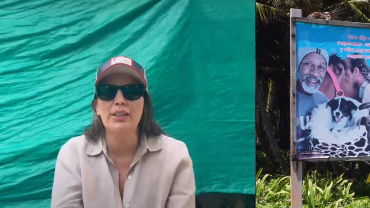 Amenazas Refugio Canino — Refugio Canino Kellan en San Andrés Denuncia Grave Situación de Seguridad