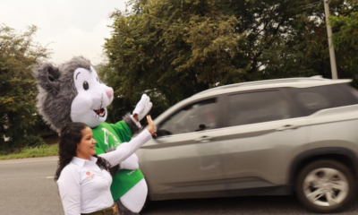 Rutas Vivas Colombia — Rutas Vivas Colombia: Estrategia Nacional para Reducir Muertes en Vías