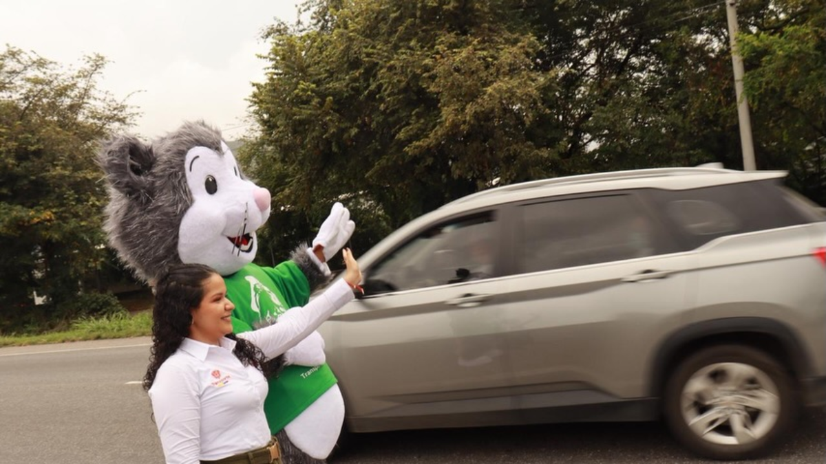 Rutas Vivas Colombia — Rutas Vivas Colombia: Estrategia Nacional para Reducir Muertes en Vías