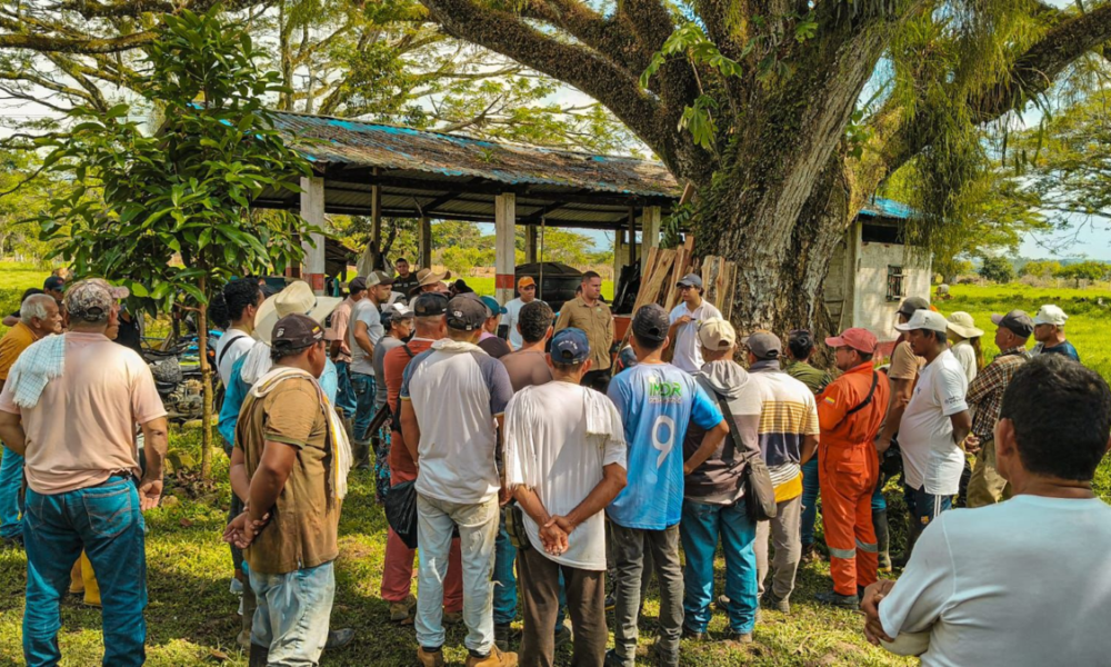 Tierras recuperadas ANT — ANT recupera 3.100 hectáreas clave en lucha contra ilegalidad
