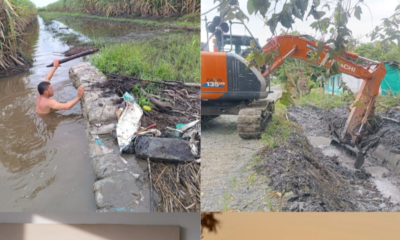 Riopaila Castilla reconocimiento europeo — Riopaila Castilla reconocimiento europeo por agricultura sostenible