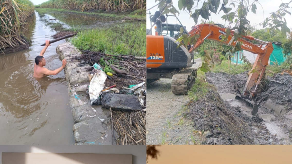 Riopaila Castilla reconocimiento europeo — Riopaila Castilla reconocimiento europeo por agricultura sostenible