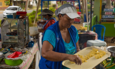 Micronegocios liderados mujeres — Brechas Persistentes en Micronegocios Liderados por Mujeres en el Valle del Cauc