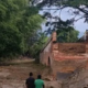 colapso puente histórico — Colapso Puente Histórico: Grave Emergencia en Miranda, Cauca
